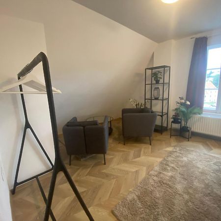 Apartman V Centru Krumlova Cesky Krumlov Ngoại thất bức ảnh